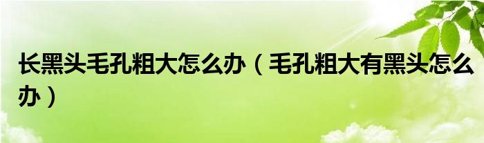 長黑頭毛孔粗大怎么辦（毛孔粗大有黑頭怎么辦）