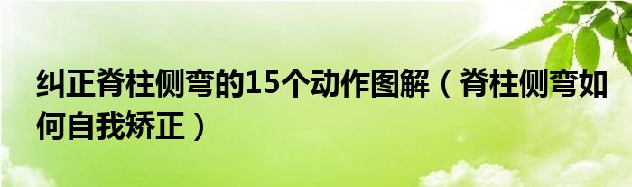 糾正脊柱側(cè)彎的15個動作圖解（脊柱側(cè)彎如何自我矯正）