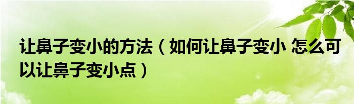 讓鼻子變小的方法（如何讓鼻子變小 怎么可以讓鼻子變小點(diǎn)）