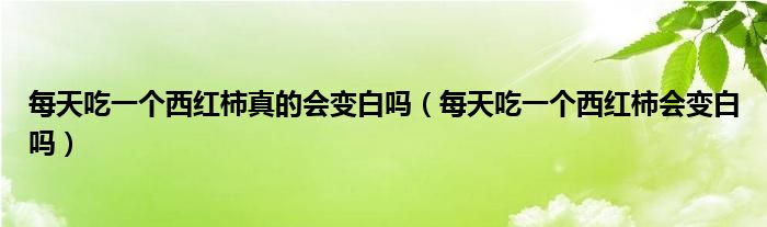 每天吃一個(gè)西紅柿真的會變白嗎（每天吃一個(gè)西紅柿?xí)儼讍幔? /></span>
		<span id=