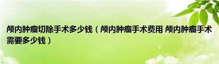 顱內腫瘤切除手術多少錢（顱內腫瘤手術費用 顱內腫瘤手術需要多少錢）