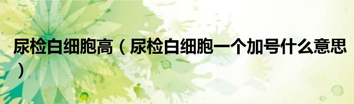 尿檢白細(xì)胞高（尿檢白細(xì)胞一個(gè)加號什么意思）