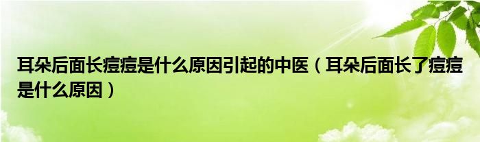 耳朵后面長(zhǎng)痘痘是什么原因引起的中醫(yī)（耳朵后面長(zhǎng)了痘痘是什么原因）