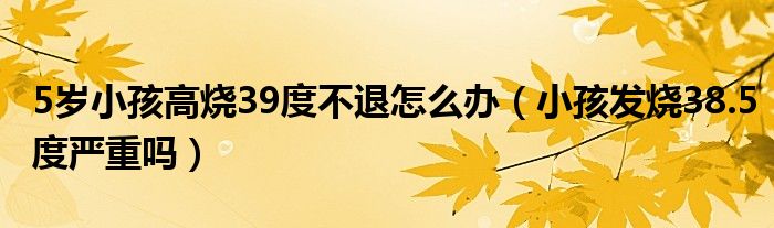 5歲小孩高燒39度不退怎么辦（小孩發(fā)燒38.5度嚴(yán)重嗎）