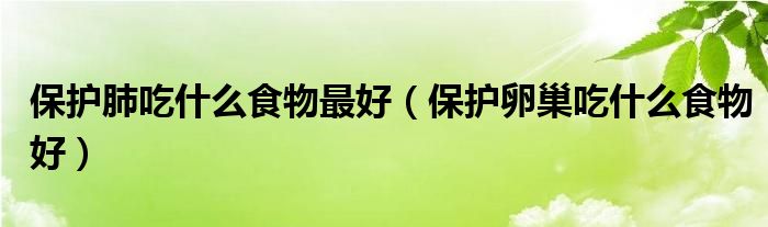 保護肺吃什么食物最好（保護卵巢吃什么食物好）