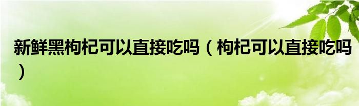 新鮮黑枸杞可以直接吃嗎（枸杞可以直接吃嗎）