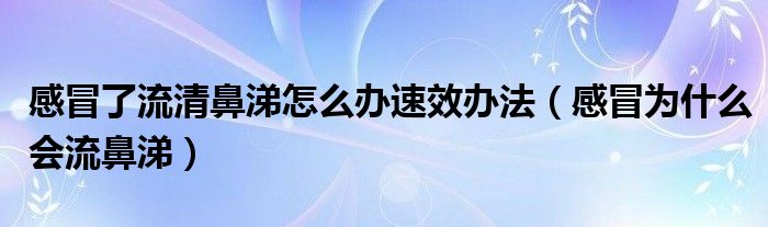 感冒了流清鼻涕怎么辦速效辦法（感冒為什么會流鼻涕）