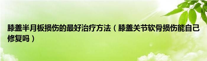 膝蓋半月板損傷的最好治療方法（膝蓋關節(jié)軟骨損傷能自己修復嗎）