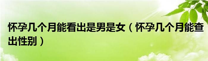 懷孕幾個(gè)月能看出是男是女（懷孕幾個(gè)月能查出性別）