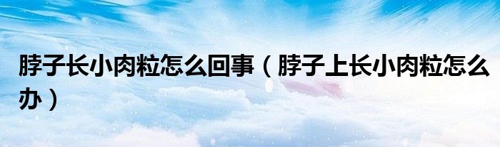 脖子長(zhǎng)小肉粒怎么回事（脖子上長(zhǎng)小肉粒怎么辦）