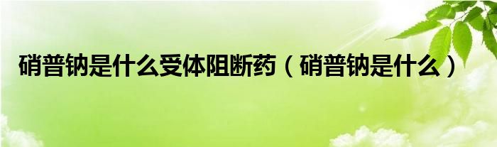 硝普鈉是什么受體阻斷藥（硝普鈉是什么）