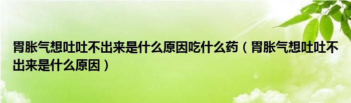 胃脹氣想吐吐不出來(lái)是什么原因吃什么藥（胃脹氣想吐吐不出來(lái)是什么原因）