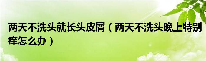 兩天不洗頭就長(zhǎng)頭皮屑（兩天不洗頭晚上特別癢怎么辦）