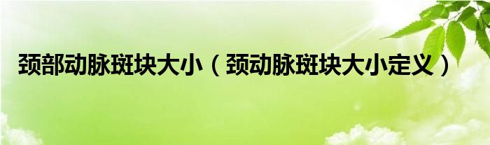 頸部動脈斑塊大?。i動脈斑塊大小定義）