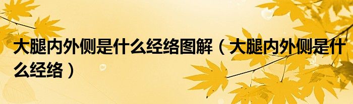 大腿內(nèi)外側是什么經(jīng)絡圖解（大腿內(nèi)外側是什么經(jīng)絡）