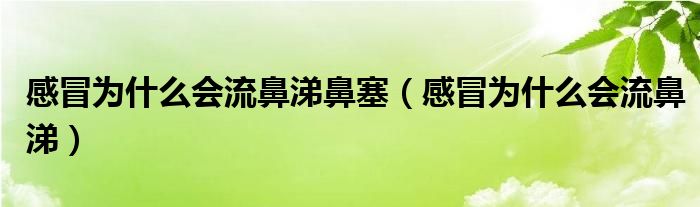 感冒為什么會流鼻涕鼻塞（感冒為什么會流鼻涕）