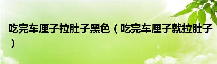 吃完車厘子拉肚子黑色（吃完車厘子就拉肚子）