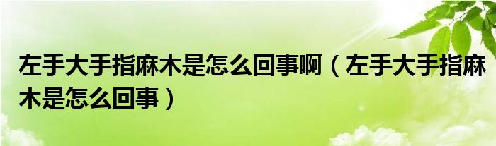 左手大手指麻木是怎么回事?。ㄗ笫执笫种嘎槟臼窃趺椿厥拢?class='thumb lazy' /></a>
		    <header>
		<h2><a  href=