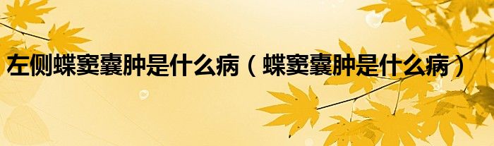 左側(cè)蝶竇囊腫是什么?。ǖ]囊腫是什么病）