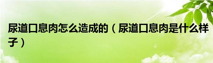 尿道口息肉怎么造成的（尿道口息肉是什么樣子）