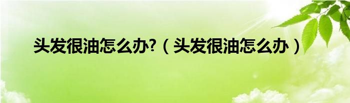 頭發(fā)很油怎么辦?（頭發(fā)很油怎么辦）