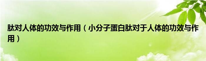 肽對人體的功效與作用（小分子蛋白肽對于人體的功效與作用）