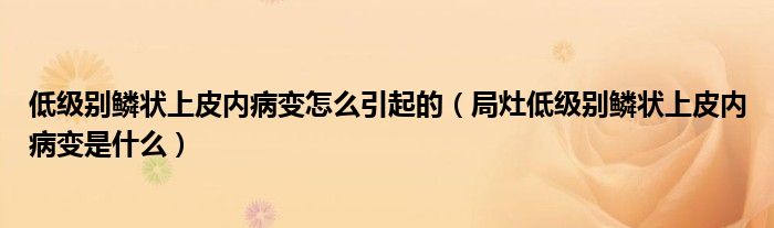 低級別鱗狀上皮內病變怎么引起的（局灶低級別鱗狀上皮內病變是什么）