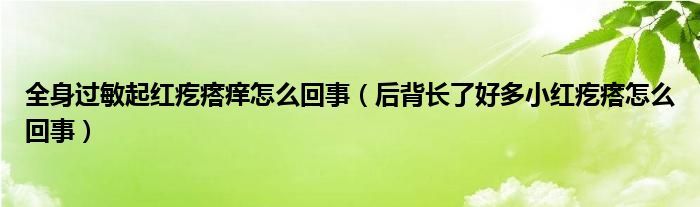 全身過(guò)敏起紅疙瘩癢怎么回事（后背長(zhǎng)了好多小紅疙瘩怎么回事）