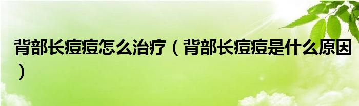 背部長(zhǎng)痘痘怎么治療（背部長(zhǎng)痘痘是什么原因）