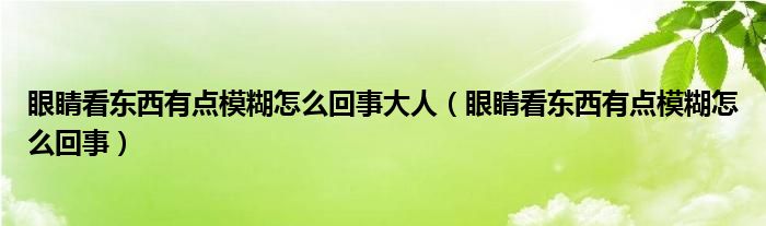 眼睛看東西有點模糊怎么回事大人（眼睛看東西有點模糊怎么回事）