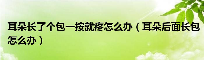 耳朵長(zhǎng)了個(gè)包一按就疼怎么辦（耳朵后面長(zhǎng)包怎么辦）