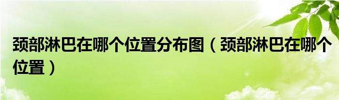 頸部淋巴在哪個(gè)位置分布圖（頸部淋巴在哪個(gè)位置）