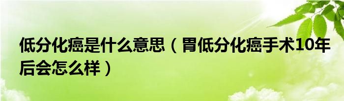 低分化癌是什么意思（胃低分化癌手術10年后會怎么樣）