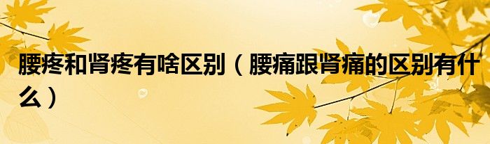 腰疼和腎疼有啥區(qū)別（腰痛跟腎痛的區(qū)別有什么）