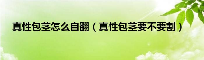 真性包莖怎么自翻（真性包莖要不要割）