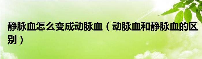 靜脈血怎么變成動脈血（動脈血和靜脈血的區(qū)別）