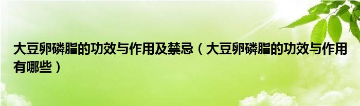 大豆卵磷脂的功效與作用及禁忌（大豆卵磷脂的功效與作用有哪些）