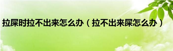 拉屎時(shí)拉不出來怎么辦（拉不出來屎怎么辦）