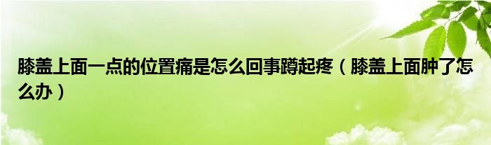 膝蓋上面一點的位置痛是怎么回事蹲起疼（膝蓋上面腫了怎么辦）