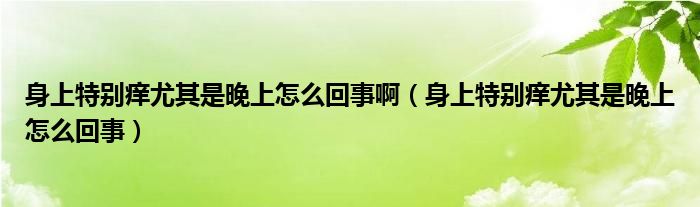 身上特別癢尤其是晚上怎么回事?。ㄉ砩咸貏e癢尤其是晚上怎么回事）