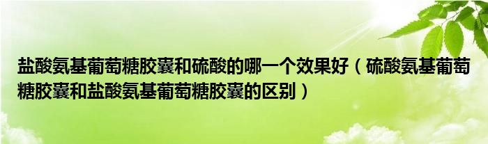 鹽酸氨基葡萄糖膠囊和硫酸的哪一個效果好（硫酸氨基葡萄糖膠囊和鹽酸氨基葡萄糖膠囊的區(qū)別）