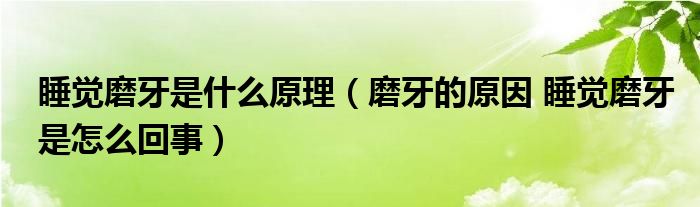 睡覺磨牙是什么原理（磨牙的原因 睡覺磨牙是怎么回事）