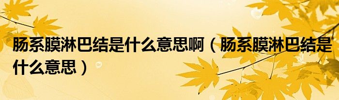 腸系膜淋巴結(jié)是什么意思?。c系膜淋巴結(jié)是什么意思）