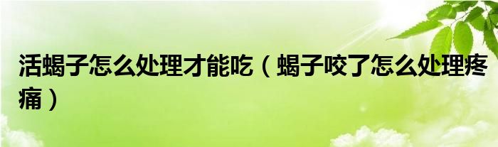 活蝎子怎么處理才能吃（蝎子咬了怎么處理疼痛）