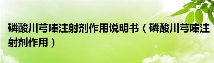 磷酸川芎嗪注射劑作用說(shuō)明書(shū)（磷酸川芎嗪注射劑作用）