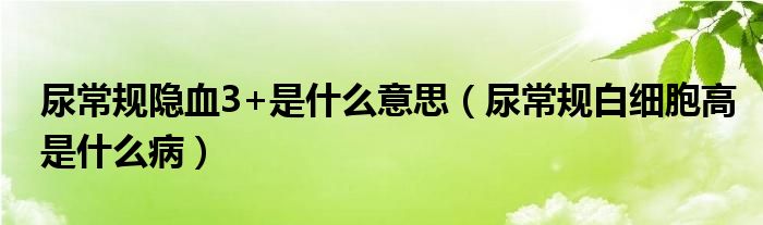 尿常規(guī)隱血3+是什么意思（尿常規(guī)白細(xì)胞高是什么?。? /></span>
		<span id=