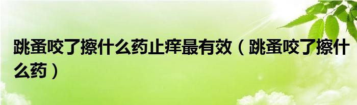 跳蚤咬了擦什么藥止癢最有效（跳蚤咬了擦什么藥）