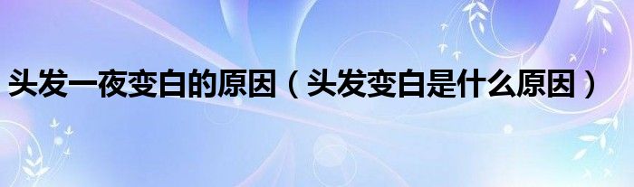 頭發(fā)一夜變白的原因（頭發(fā)變白是什么原因）