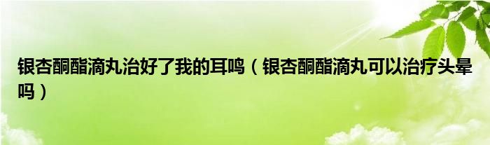 銀杏酮酯滴丸治好了我的耳鳴（銀杏酮酯滴丸可以治療頭暈嗎）