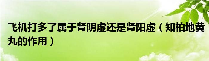 飛機打多了屬于腎陰虛還是腎陽虛（知柏地黃丸的作用）